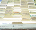 Website Directory Records